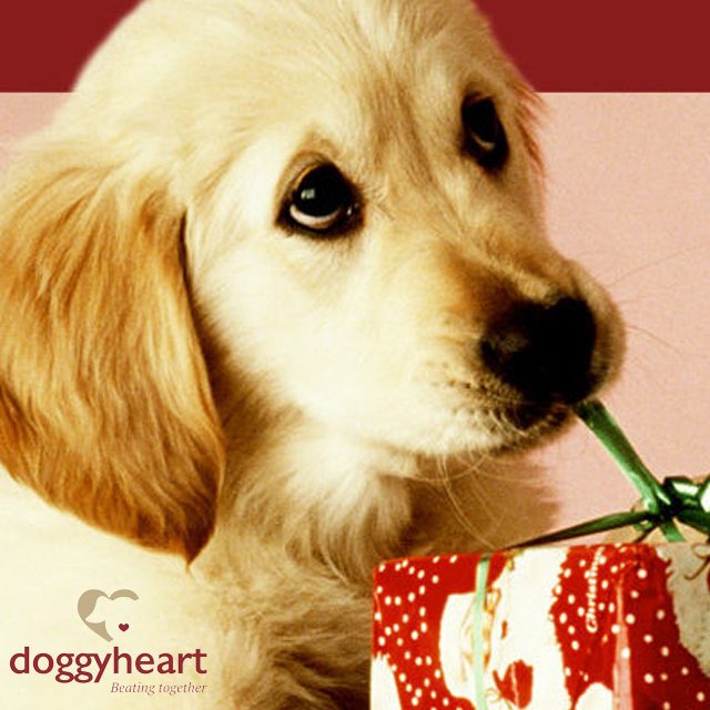 Doggy Heart