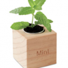 Menta