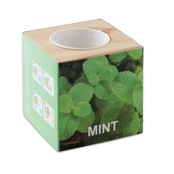 Menta